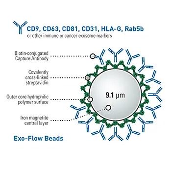 [EXOFLOW300A-1] CD63 Exo-Flow Capture Kit