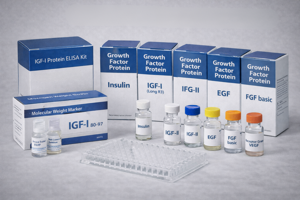 Human LR3 IGF-I ELISA