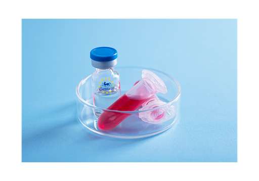 [GEN - PYT076-20ug] AITRL Human